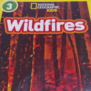Wildfires P8-15