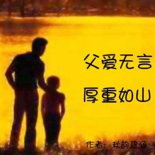 无言的父爱