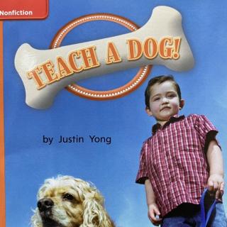 G1 Approach U4W5 20 - Teach A Dog