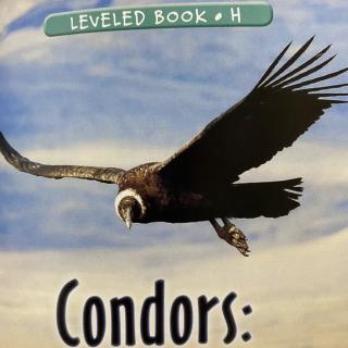 RAZ LevelH 206 - Condors：Giant Birds