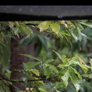 雨点击打屋顶的干净雨声！