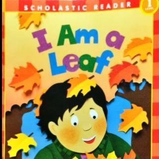 约绘袋鼠-I am a leaf