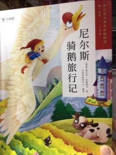 《尼尔斯骑鹅旅行记》之《卡尔斯克鲁纳》