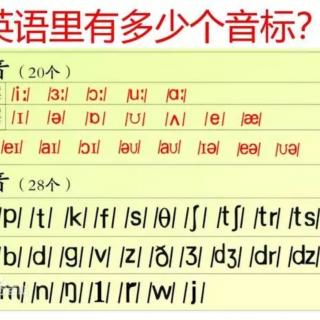 音標(biāo)入門DAY50輔音音標(biāo)合集