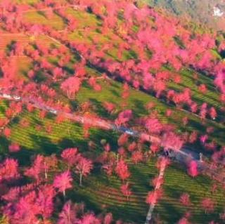 治愈系风景，大自然的声音