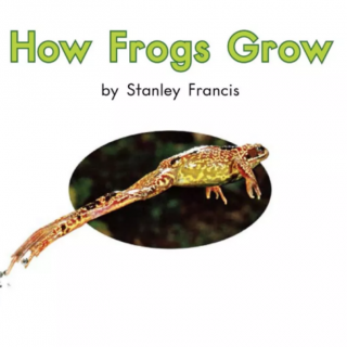 How frogs grow