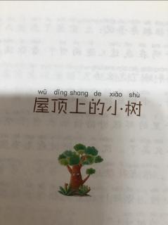 屋顶上的小树