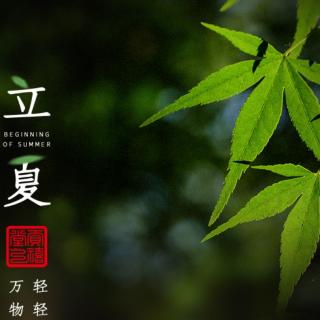 心无旁骛，专注是狼族生存的重要技巧