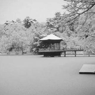 《湖心亭看雪》/张岱