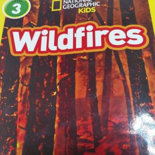 Wildfires Day V