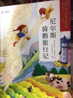 《尼尔斯骑鹅旅行记》之《水灾》