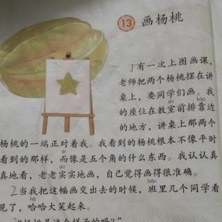 13  画杨桃