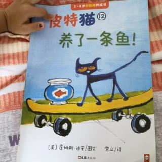 皮特猫12—养了一条鱼