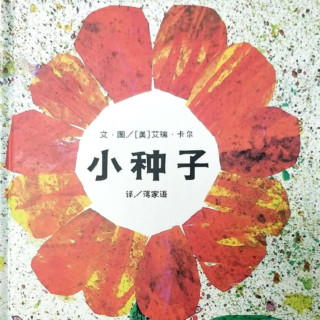 《小种子》