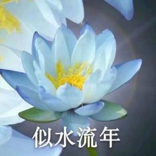 《听听那冷雨6》 莫失（来自FM181571640）