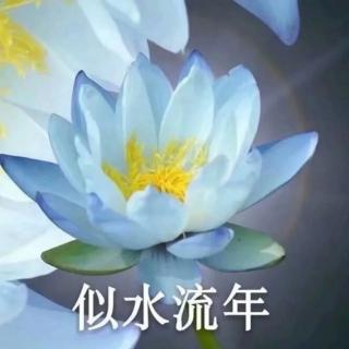 《听听那冷雨7》 莫失（来自FM181571640）