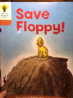 Save Floppy