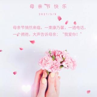 【我为妈妈读经典】母亲节特辑 006萱草花