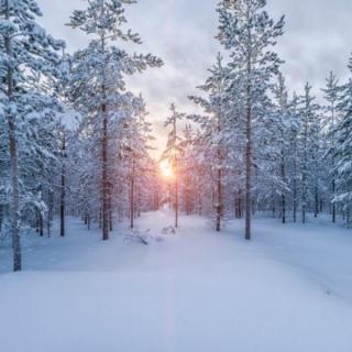 第一场雪节选  文 峻青