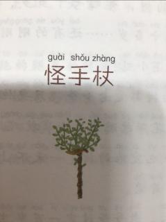 怪手杖