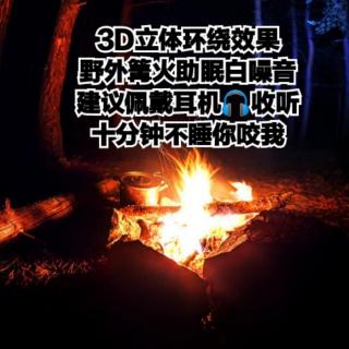 【3D立体环绕效果火白噪音】野外篝火