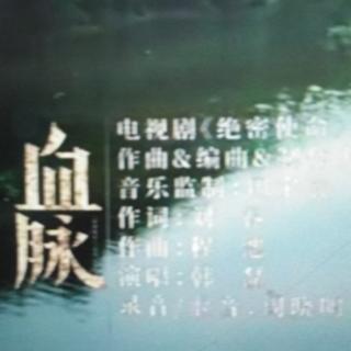 血脉   电视剧《绝密使命》主题曲