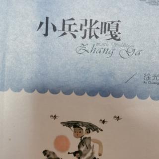 小兵张嘎（第四章）