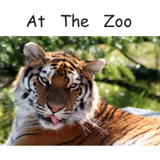 儿童中英绘本《在动物园里》At The Zoo