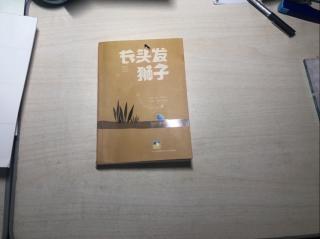 长头发狮子