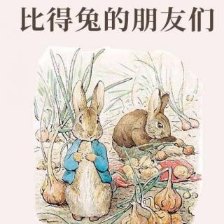 《Friends of Peter Rabbit》