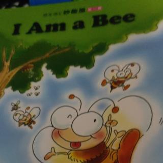 i am a bee