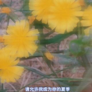 《拯救花盲》何盼（来自FM181933642）