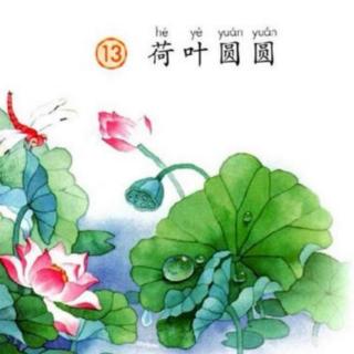 13《荷叶圆圆》志辉朗读