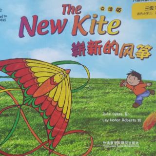 The New Kite 三级1