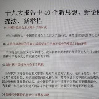 40个新思想，新论断，新提法，新举措。