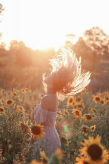 世间万物皆是你 - Sunflower的心灵花园