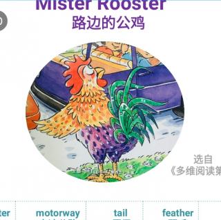 多维八级mister rooster