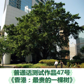 普测作品47号《香港：最贵的一棵树》