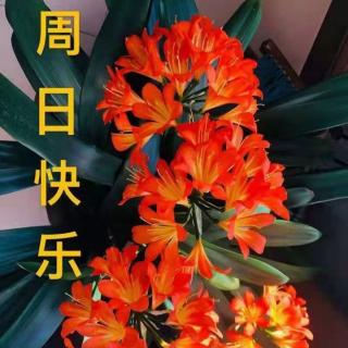 喀纳斯早安心语5.16