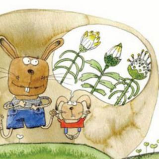 兰若教育睡前故事分享《小兔子的大花园》