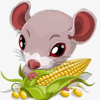 老鼠偷玉米