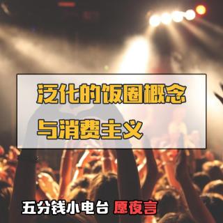 愿夜言#3泛化的“饭圈”概念与消费主义