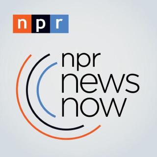 1-NPR news
