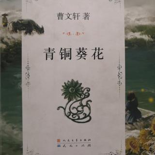 《青铜葵花》第二章 4