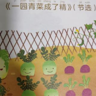 一圆青菜成了精