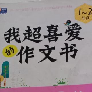 我超喜爱的作文书