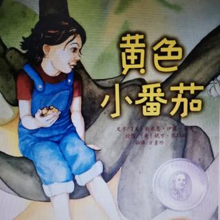 黄色小番茄