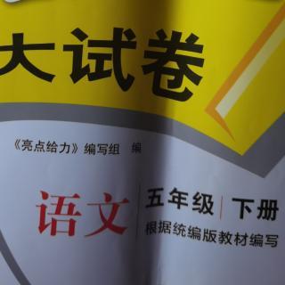 《亮点大试卷六单元B卷》