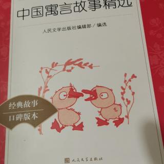 老虎从来不吹牛🐮