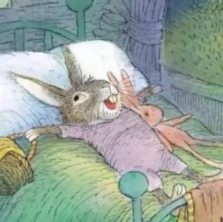 宋老师第94篇睡前故事🌻《小兔温尼想换个地方睡觉》